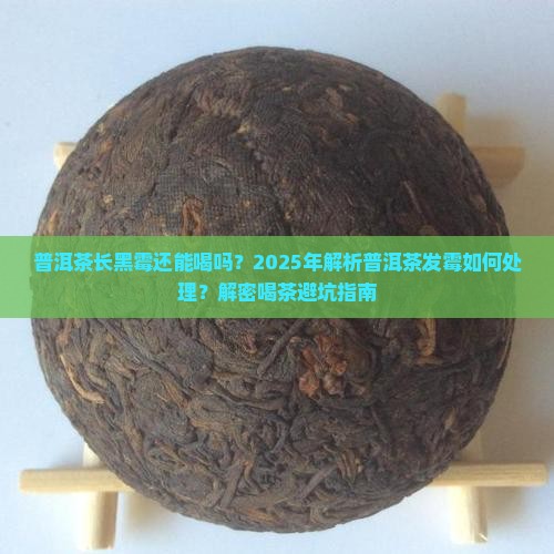 普洱茶黑霉能喝