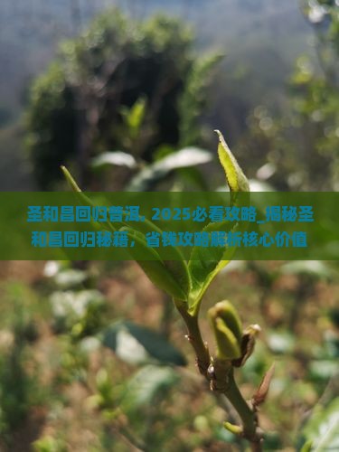 圣和昌回归普洱