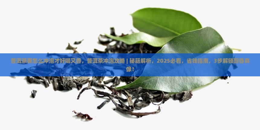 普洱茶要怎么冲泡才好喝又香
