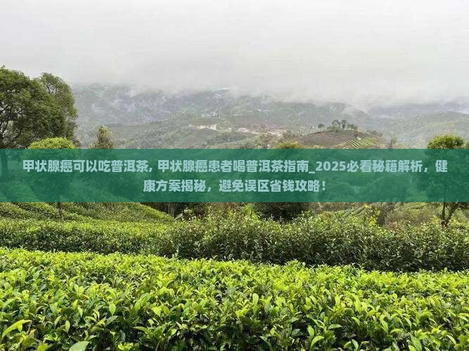甲状腺癌可以吃普洱茶