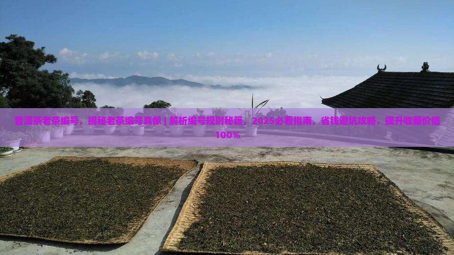 普洱茶老茶编号