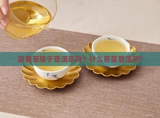 国普茶是什么茶