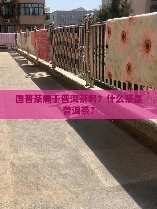 国普茶是什么茶