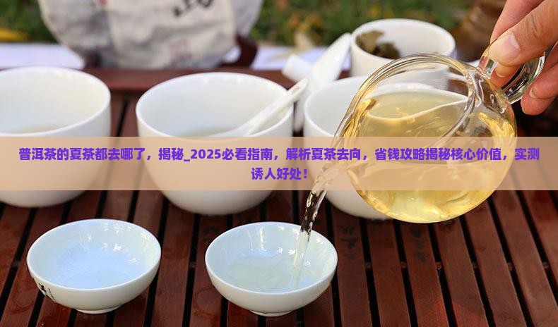 普洱茶的夏茶都去哪了