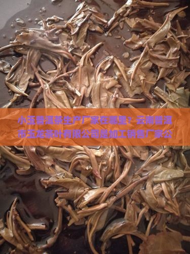 小玉饼普洱茶生产厂家在哪里