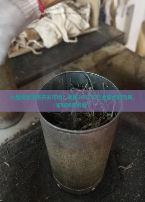 小品牌普洱茶开发市场