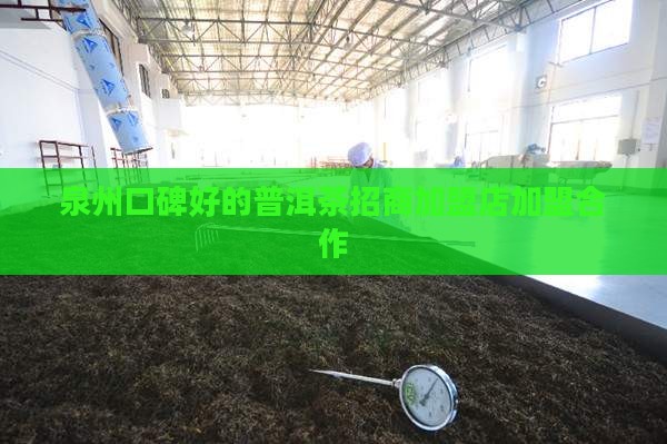 泉州口碑好的普洱茶招商
