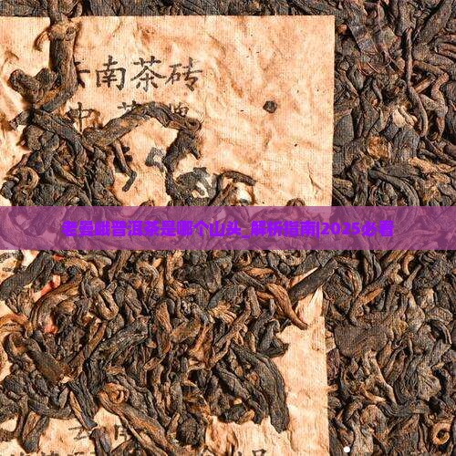 老曼峨普洱茶是哪个山头