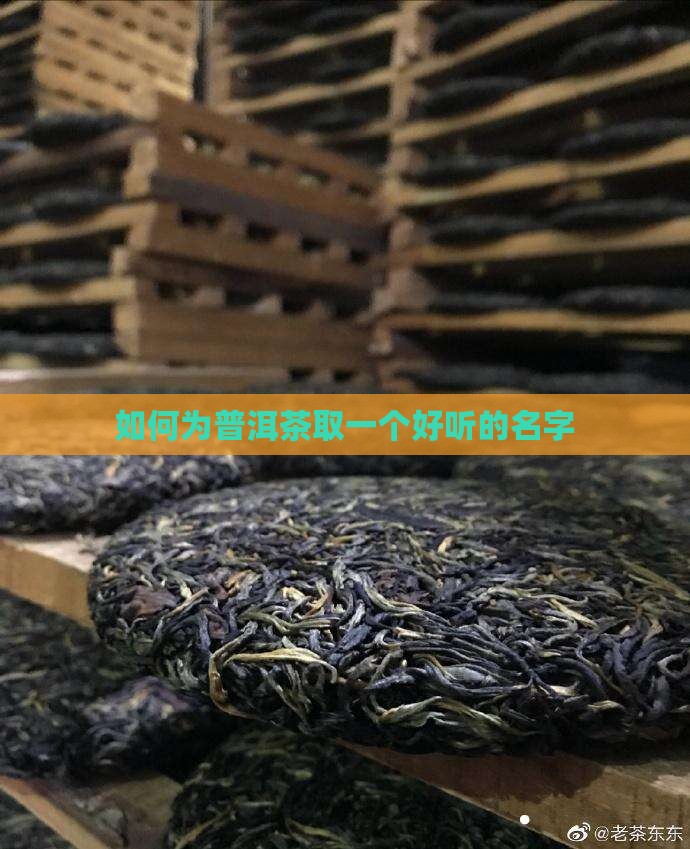 怎样给普洱茶取名字女