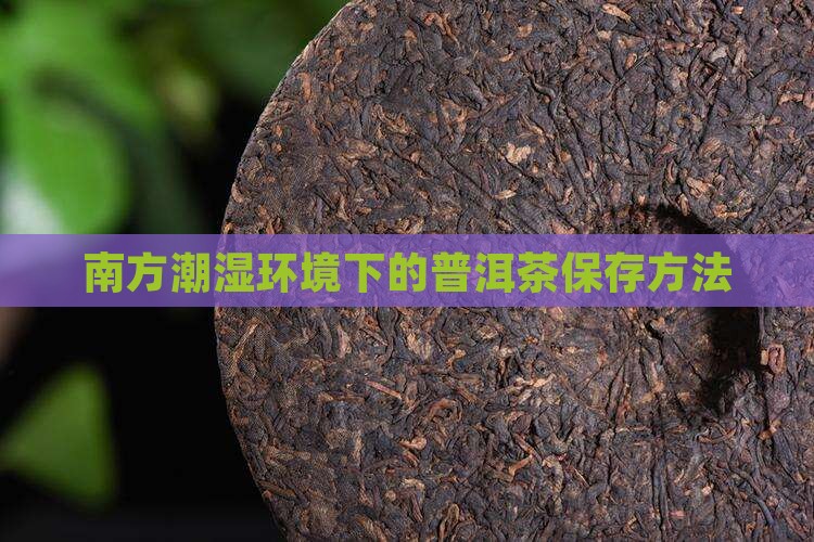 南方潮湿普洱茶怎么保存