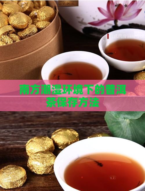南方潮湿普洱茶怎么保存