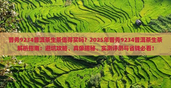 普秀9234普洱茶生茶