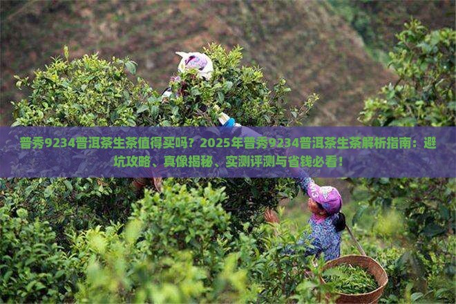 普秀9234普洱茶生茶