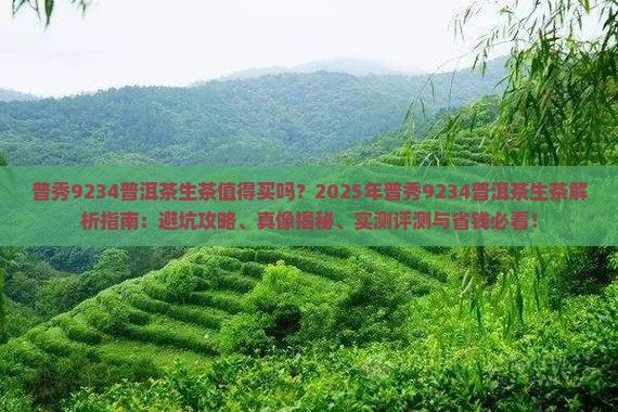 普秀9234普洱茶生茶
