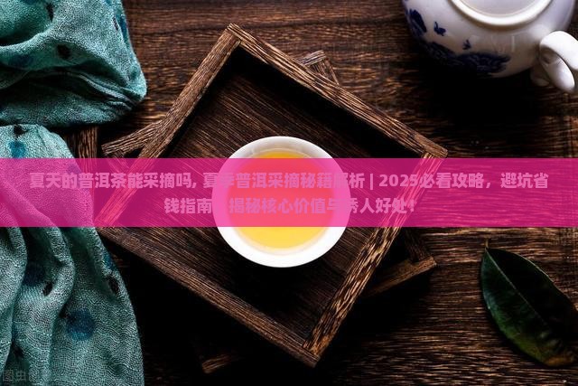 夏天的普洱茶能采摘吗