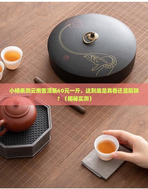 小杨推荐云南普洱茶60元一斤