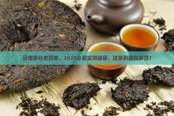云南象谷茶叶老班章
