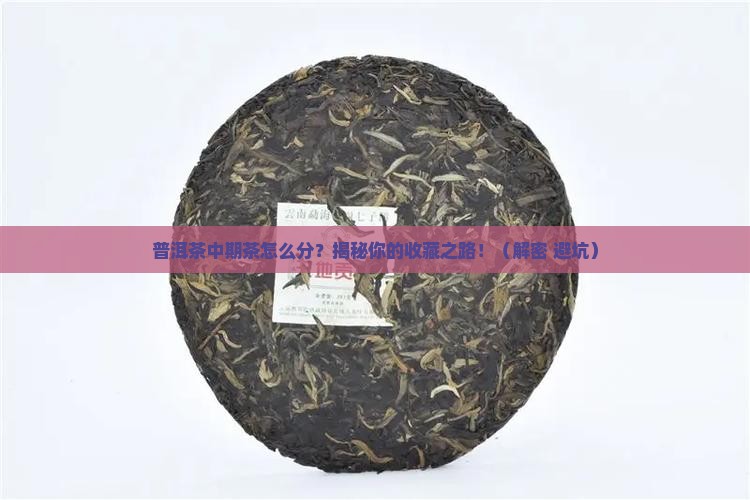 普洱茶中期茶怎么分