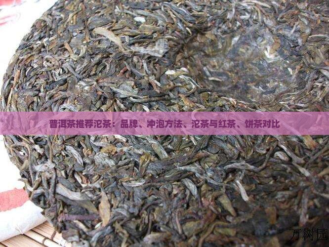 普洱茶推荐沱茶