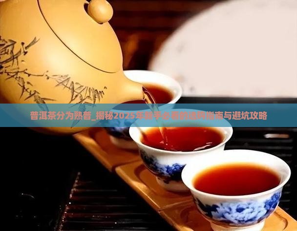 普洱茶分为熟普