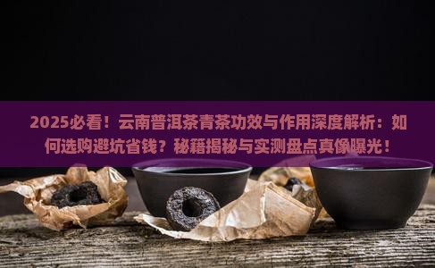 云南普洱茶青茶功效与作用