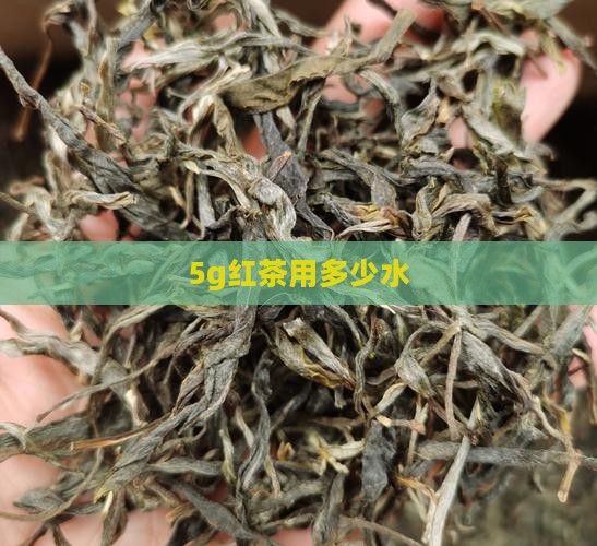 5g红茶用多少水