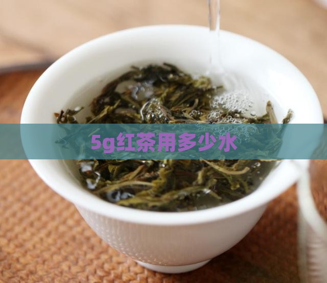 5g红茶用多少水