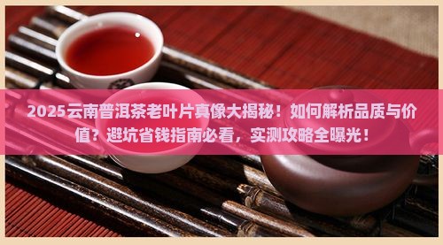 云南普洱茶老叶片