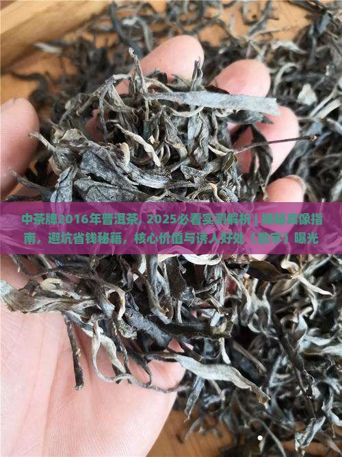 中茶牌2016年普洱茶