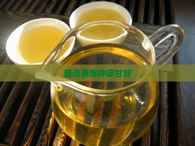 普洱茶哪种回甘好