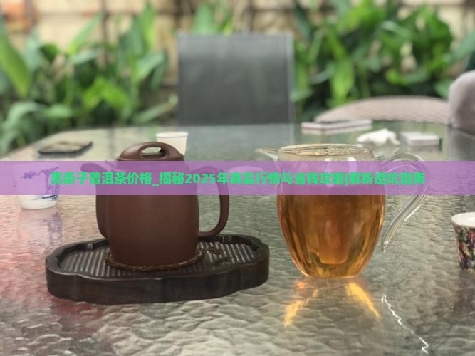 黑条子普洱茶价格 黑条子普洱茶价格