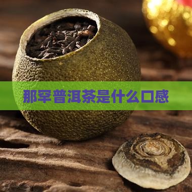 那罕普洱茶是什么口感