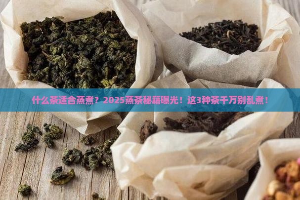 什么茶适合蒸煮