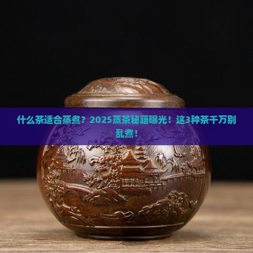 什么茶适合蒸煮