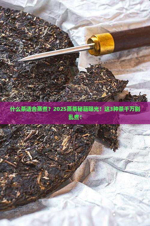 什么茶适合蒸煮