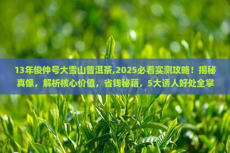 13年俊仲号大雪山普洱茶