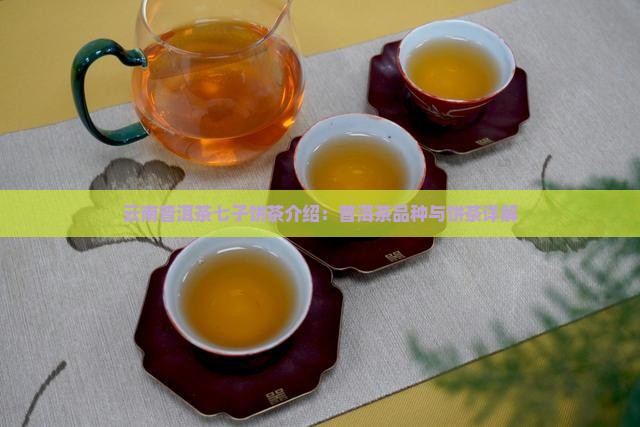 七子饼普洱茶介绍