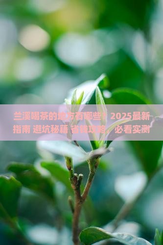兰溪喝茶的地方