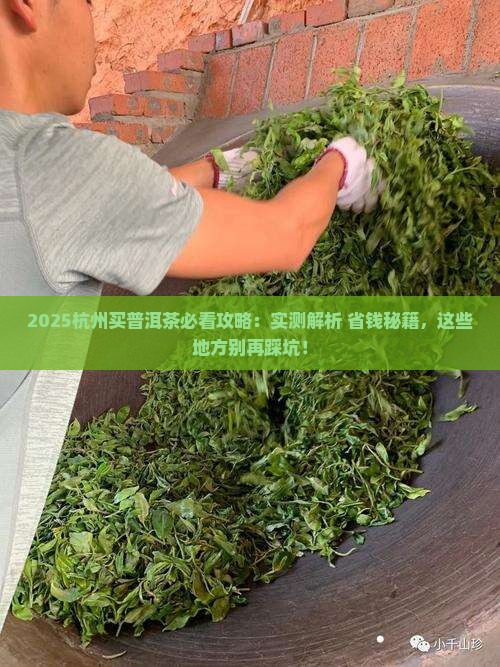 杭州哪里买普洱茶好