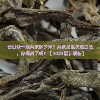 普洱茶一般海拔多少米