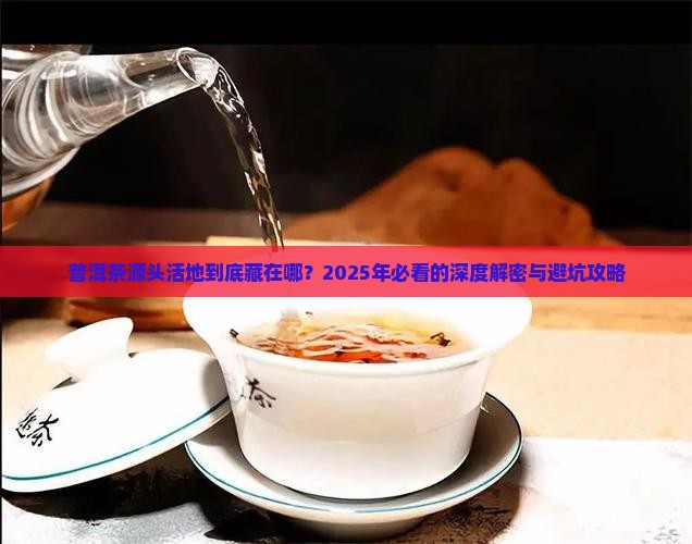 普洱茶源头活地