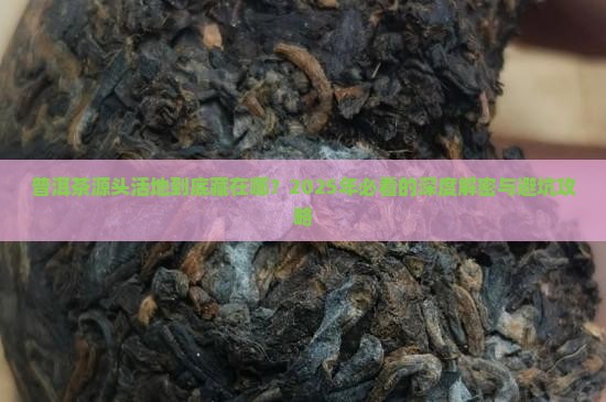 普洱茶源头活地