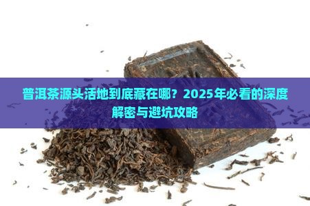 普洱茶源头活地