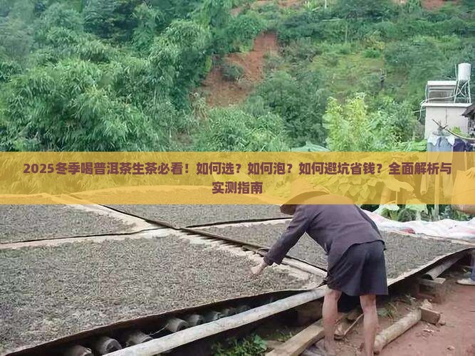 冬季喝普洱茶生茶
