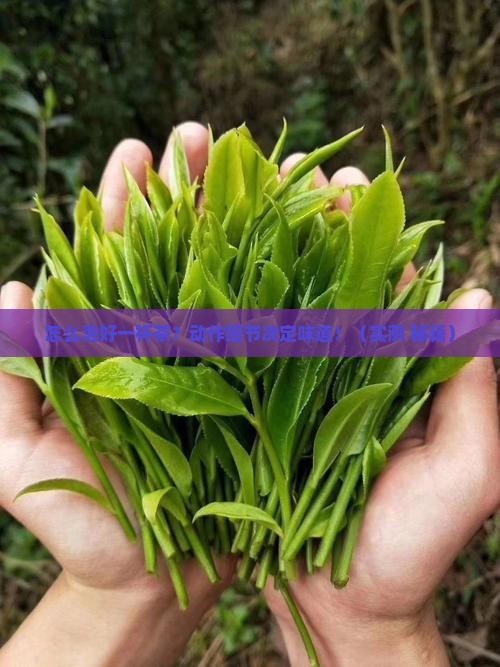 沏泡茶的动作要求泡茶的基本流程