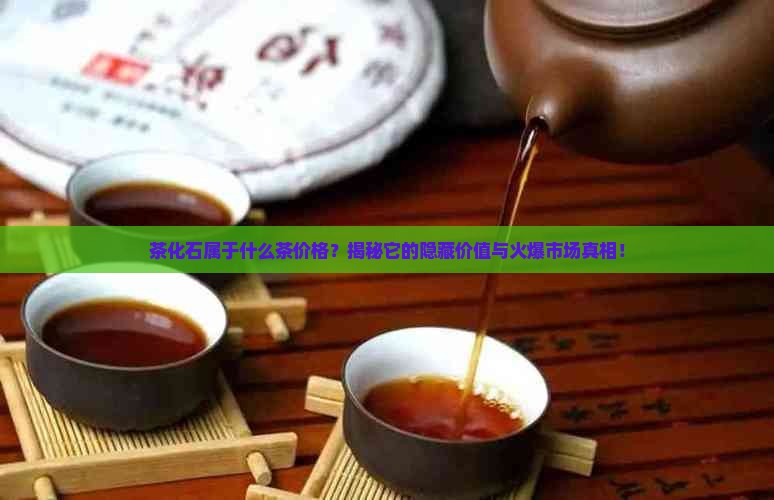 茶化石属于什么茶价格