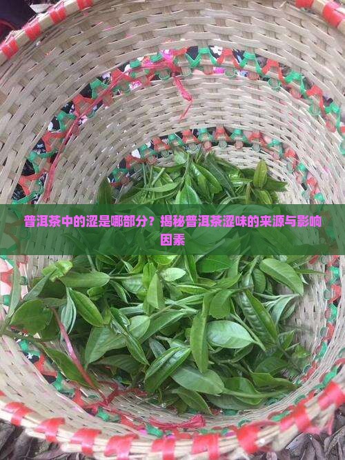 普洱茶中的涩是哪部分