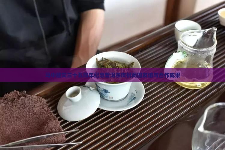 马中建交三十五周年纪念普洱茶