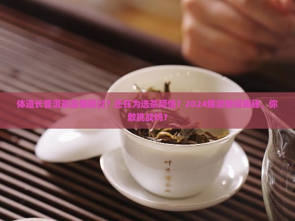 体道长普洱茶品懂闻过