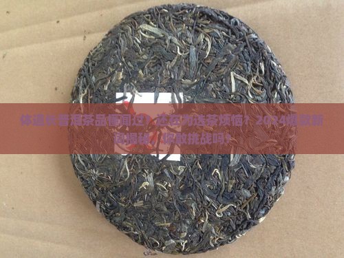 体道长普洱茶品懂闻过